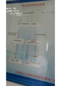 上海代理新西蘭果汁進(jìn)口清關(guān)與進(jìn)出口代理服務(wù)全解析